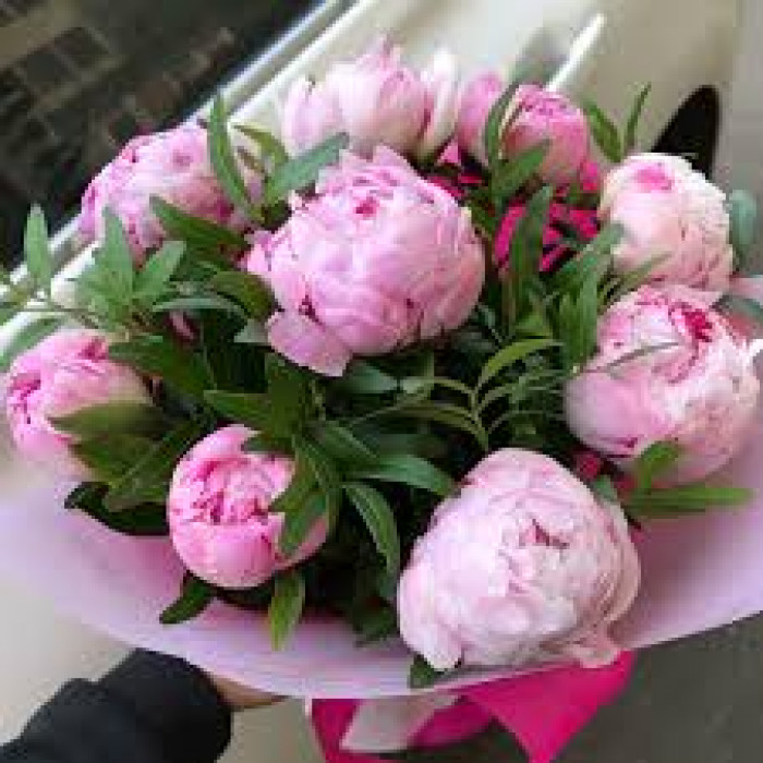 Пион древовидный в Шу