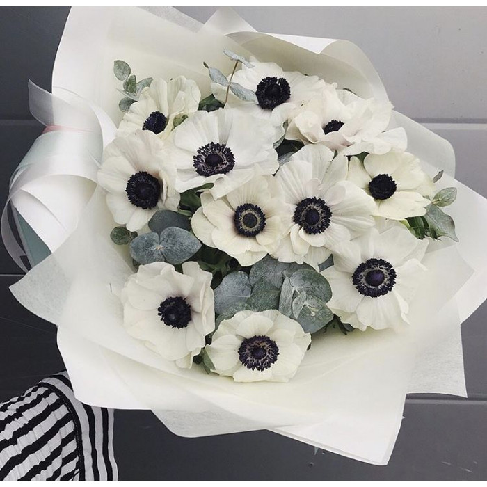 Анемоны в Шу