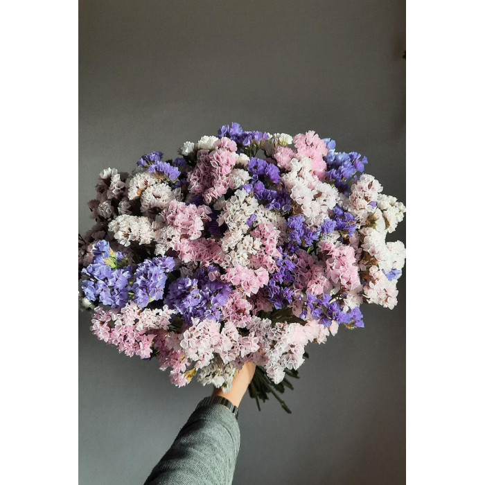 Статица (Лимониум) в Шу