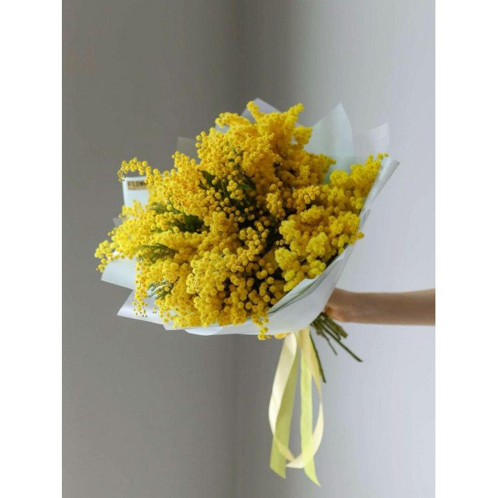 Мимоза в Шу