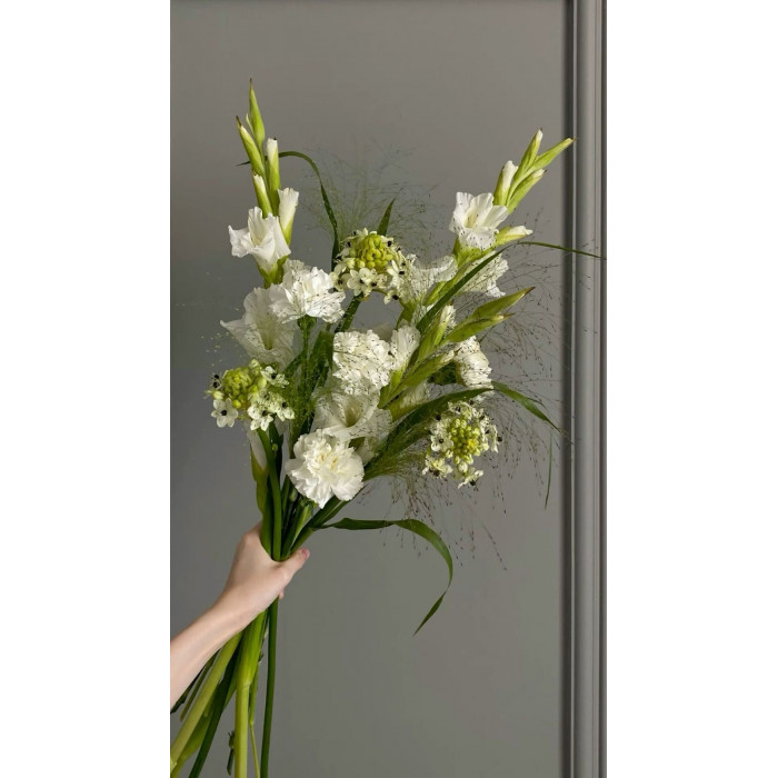 Орнитогалум в Шу