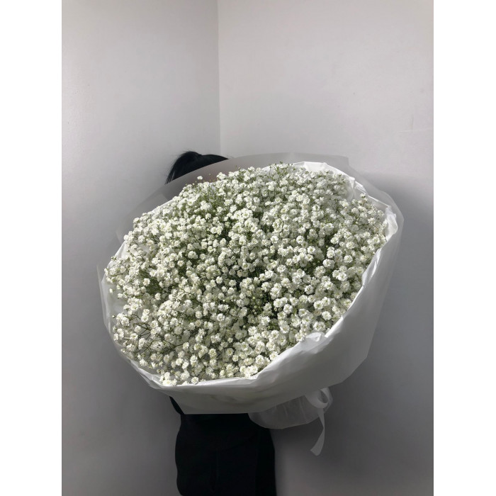 Гипсофила классическая в Шу