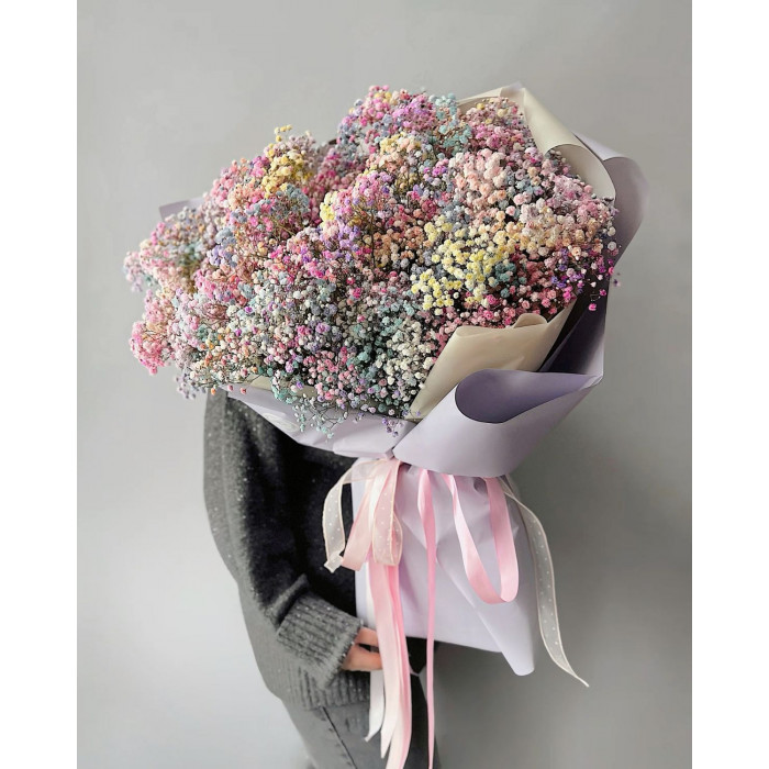 Гипсофила цветная в Шу