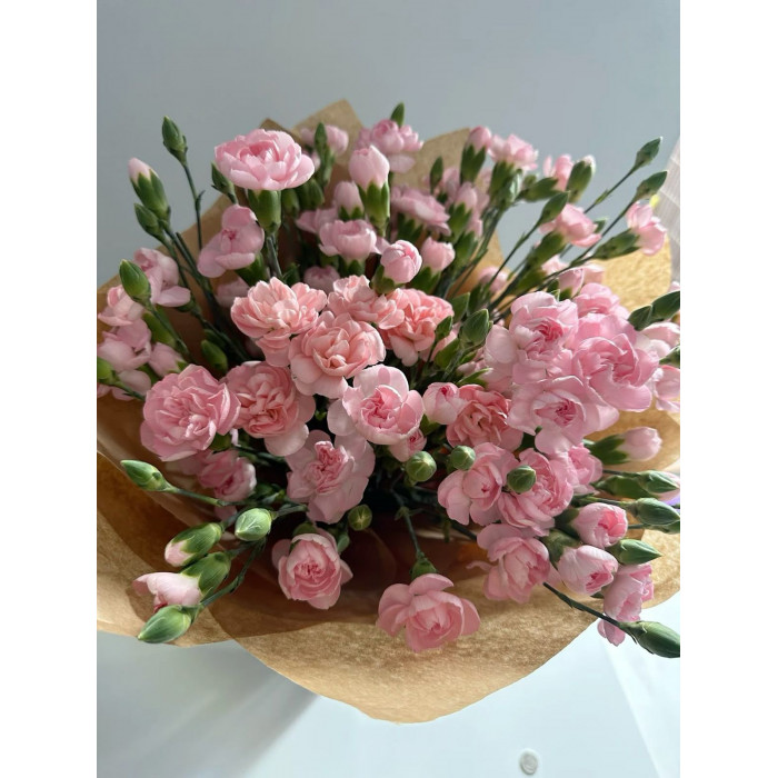 Кустовые гвоздики в Шу