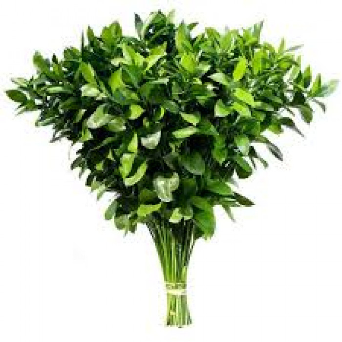 Рускус в Шу